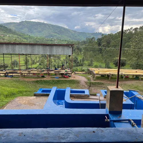 rolnicy Rwanda Abakundakawa